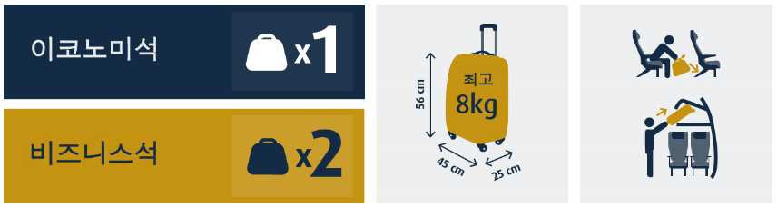 에어아스타나 수하물 규정안내