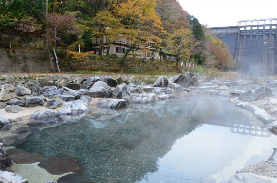 [임업연수] 일본 오사카, 마니와시 산림혁신도시 연수, 친환경 바이오매스 산업시찰 3박4일